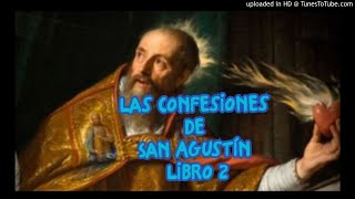 Confesiones San Agustín Libro 2 [upl. by Ecyar946]