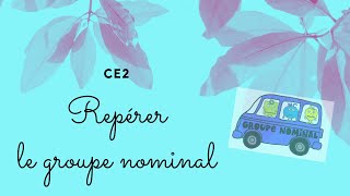 CE2  Le groupe nominal [upl. by Esorlatsyrc]