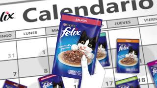 Purina Félix® [upl. by Orenid]