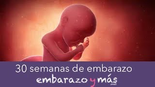 30 semanas de embarazo  Séptimo mes  EMBARAZOYMAS [upl. by Chipman747]