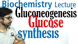 Gluconeogenesis pathway biochemistry [upl. by Eibbob]