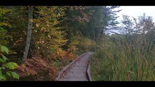 Lake Shaftsbury state park Shaftsbury Vermont [upl. by Aitnom]