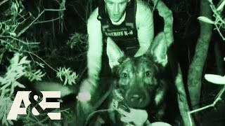 Live PD Most Viewed K9 Busts  AampE [upl. by Rosie]