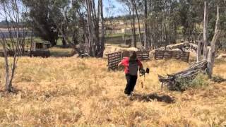 Kids Paintball LOW Impact Birthday [upl. by Gulick]