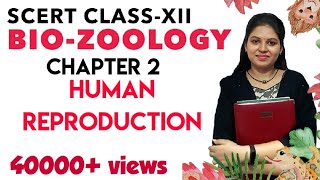 SCERT Class 12 Zoology Chapter 2 Human Reproduction  Tamil [upl. by Corinne112]