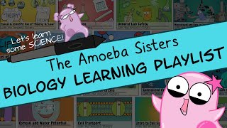 Amoeba Sisters Biology Learning Playlist Introduction [upl. by Ahsieki]