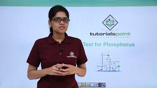 Class 11th – Qualitative Analysis  Test for Phosphorus  Organic Chemistry  Tutorials Point [upl. by Ahsemal889]