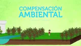 Compensación Ambiental Una oportunidad para todos [upl. by Maroj]