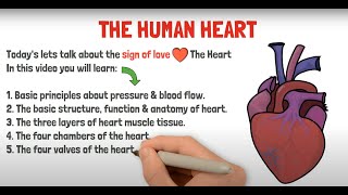 Heart Structure amp Function in 5 mins  GCSE  IGCSE  NEET  Biology [upl. by Ariik]