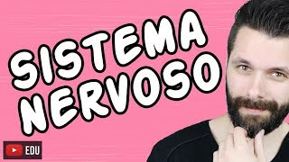 SISTEMA NERVOSO  FISIOLOGIA  Aula  Biologia com Samuel Cunha [upl. by Atinob]