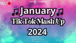 TikTok Mashup 2024 🎵 [upl. by Nemrac]