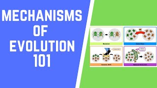 Mechanisms of Evolution 101 [upl. by Bakeman2]