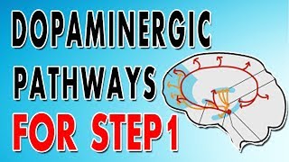 Dopaminergic Pathways [upl. by Rennane]