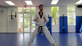 Online Course Kids TaeKwonDo Beginner Lesson 1 [upl. by Flagler]