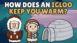 How Does an Igloo Keep You Warm  Best Learning Videos For Kids  Thinking Captain [upl. by Elocim]