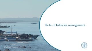 Role of fisheries management [upl. by Eahsed]