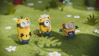 Minions 2015  Minions in Scarlets house [upl. by Yenial]