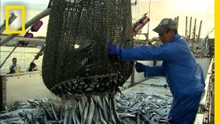 How More Efficient Fishing Can Protect the Ocean  National Geographic [upl. by Valle]