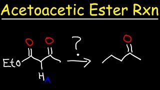 Acetoacetic Ester Synthesis Reaction Mechanism [upl. by Ahsikcin]