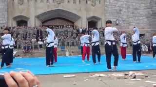 World Premier Taekwondo Team performing at West Point [upl. by Mclaurin]