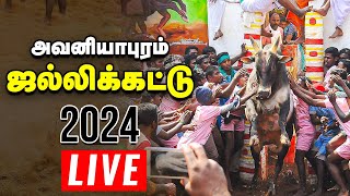 🔴Jallikattu Live 2024  Avaniyapuram  அவனியாபுரம் ஜல்லிக்கட்டு நேரலை [upl. by Hendrika]