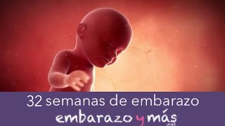 32 semanas de embarazo  Octavo mes  EMBARAZOYMAS [upl. by Lundgren]