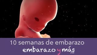 10 semanas de embarazo  Tercer mes  EMBARAZOYMAS [upl. by Ailaza]