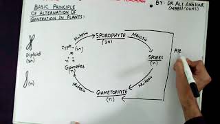 XI Botany Topic quotBasic Principle of Alternation of Generation in Plantsquot Lecture 1 [upl. by Campball]