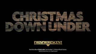 Phosphorescent  Christmas Down Under Official Audio [upl. by Opaline]