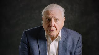 David Attenborough Explains What We Need to Do to Stop OverFishing [upl. by Munster972]