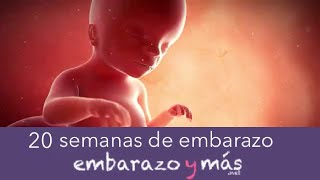 20 semanas de embarazo  Quinto mes  EMBARAZOYMAS [upl. by Aromas]