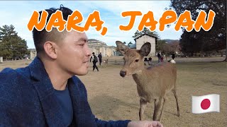 Japan Vlog 10 TRAVELING TO NARA JAPAN [upl. by Ydal488]