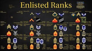 US Military All Branches ENLISTED Ranks Explained [upl. by Nauqat217]