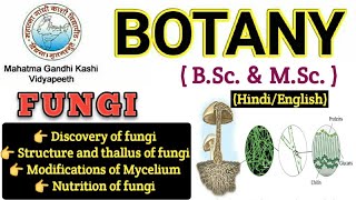 General Characteristics of FungiMyceliumHyphae Modification of MyceliumBSc 1st year BotanyFungi [upl. by Lyn]