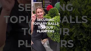 Securing topiary balls to your planters [upl. by Yordan274]