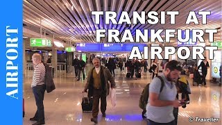 TRANSIT WALK AT FRANKFURT Airport FRA Terminal 1  Connection Flight Transfer Arriving amp Departing [upl. by Eceirehs956]