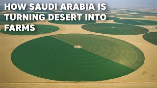 How Saudi Arabia Is Turning Desert into Huge Farmlands [upl. by Madai]